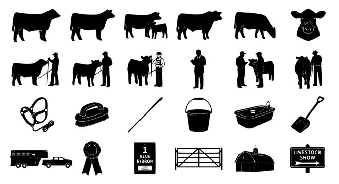 Livestock show cattle silhouette set with show steers heifers farmers and ranch vector illustrations