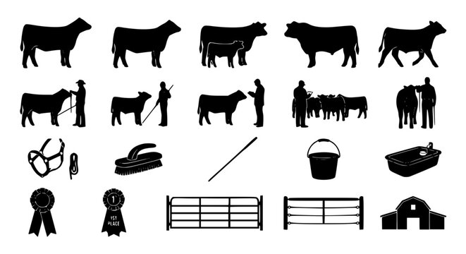 Premium cattle show silhouette vector bundle with show steers heifers farmers and ranch livestock graphics