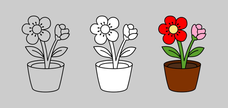 Potted Flower Plant Vector Illustration In Outline And Colored Version