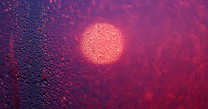 The red disk of the sun outside the window with drops of water on the glass, the bright sun illuminates small raindrops on the transparent surface of the window