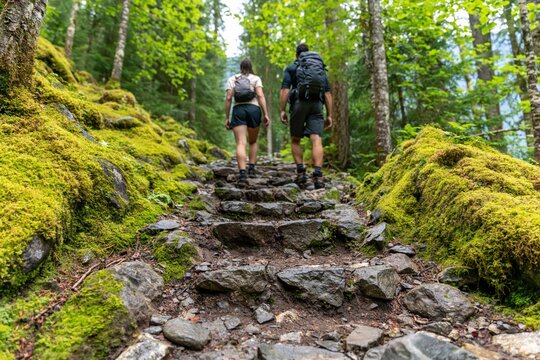 Hike up a mossy stone trail in the green forest with a couple hiking in the woods