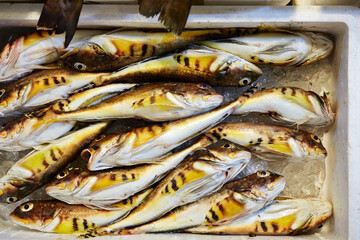 Fresh seafood at traditional market © mnimage