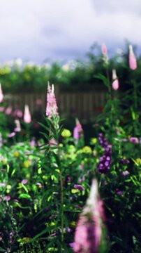 Colorful wildflowers sway gently in the warm breeze under a bright sky. The garden is alive with shades of pink and purple, creating a lively and cheerful atmosphere.