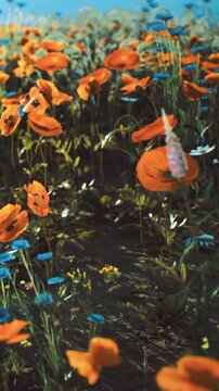 Bright red poppies and vibrant blue daisies fill a lush green field under a clear sky. The flowers sway gracefully, creating a serene and picturesque landscape at midday.