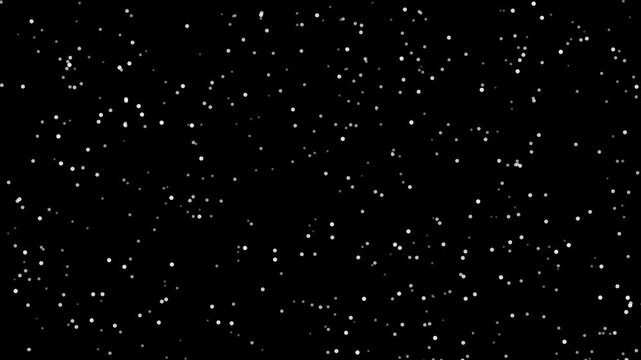 Slow Falling Snow on a Pure Black Background