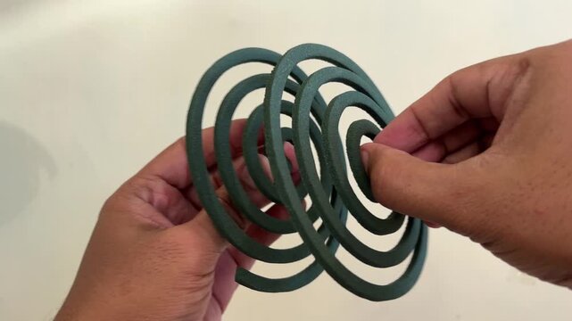 An Asian man is separating stacked, green, spiral-shaped mosquito coils used to repel mosquitoes.