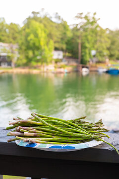 Vertical photo of fresh asparagus spears on a plate outdoors with a soft lake and trees in the background.