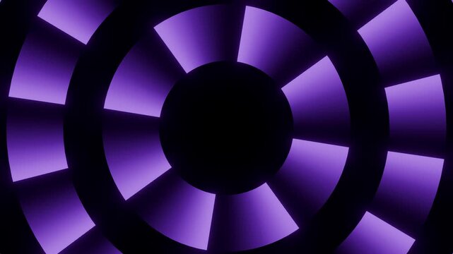 Purple radial segments surrounding a large black center