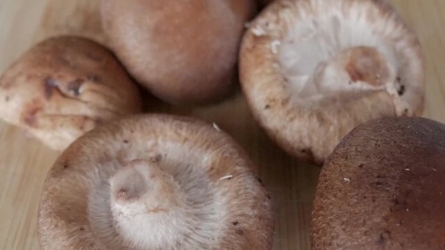 Assorted fresh mushrooms in wooden boxes displayed in sunlight on a white surface