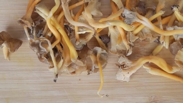 Assorted fresh mushrooms in wooden boxes displayed in sunlight on a white surface