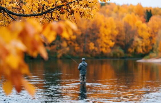 Fisherman enjoying fly fishing in a serene river surrounded by vibrant autumn nature