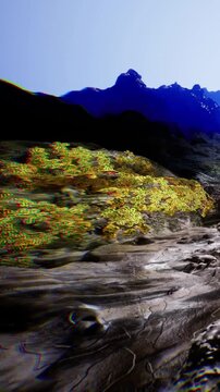 Bright patterns of yellow and green dance across the rocks beside a tranquil shore. The sun shines brightly, casting shadows and highlighting the textures of the landscape.