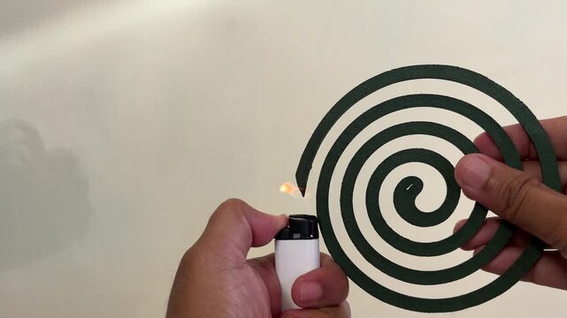 An Asian man is lighting a green, spiral-shaped mosquito coil with a gas lighter to repel mosquitoes.