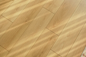 Light shadows on wooden floor during daytime hours