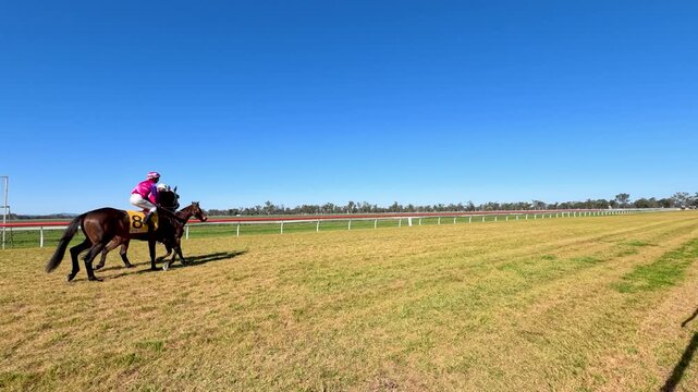 Jockeys Racing Thoroughbred Horses on a Turf Track Under Clear Blue Sky