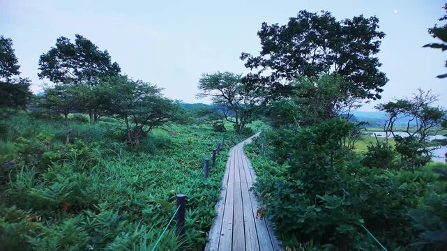 八ヶ岳連峰の霧ヶ峰高原の八島湿原