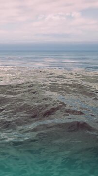 Soft waves dance on the calm surface of the ocean, reflecting gentle hues of pink and blue from the sky. A serene atmosphere envelops this beautiful coastal scene at dusk.