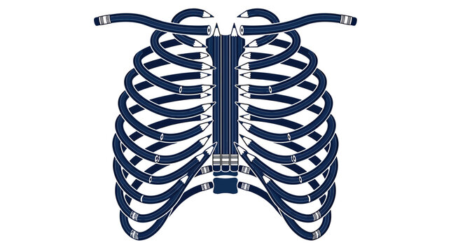 Stylized Rib Cage Illustration Isolated on Transparent Background