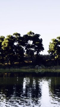 A serene lakeside view features tall trees casting reflections on calm waters. The peaceful atmosphere invites relaxation and contemplation amidst natures beauty on a clear day.