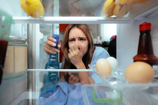 Disgusted Woman Holding Detergent Bottle Covering Her Nose Near Smelly Refrigerator. Frustrated holds cleaning liquid pinching nostrils due to bad fridge odor