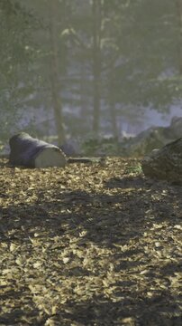 Soft light dances through the leaves in a serene forest. Natural elements blend harmoniously, while scattered leaves blanket the ground, creating a peaceful atmosphere that invites exploration.