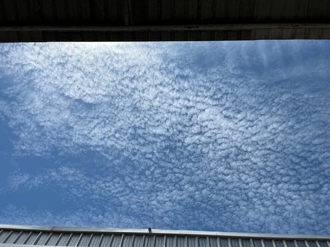Altocumulus clouds forming a textured pattern across a bright blue sky. Natural cloud formation creating a dramatic atmospheric background suitable for weather, meteorology, climate, and environmental