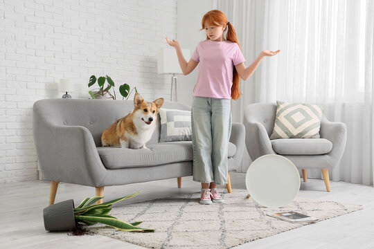 Teenage redhead girl with Corgi dog and overturned things on carpet at home
