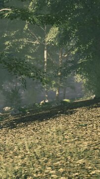 Sunlight filters through lush green trees, casting gentle shadows on the forest floor. A serene path beckons, inviting exploration in this peaceful natural setting, rich in life and beauty.