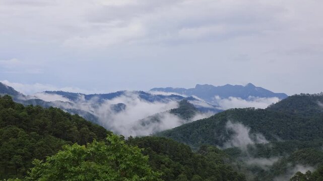 After summer rain with fog and clouds hanging over green forest hills in the national park of thailand. Aerial view