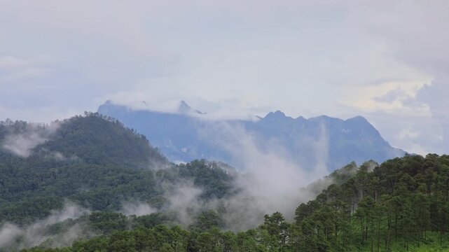 After summer rain with fog and clouds hanging over green forest hills in the national park of thailand. Aerial view