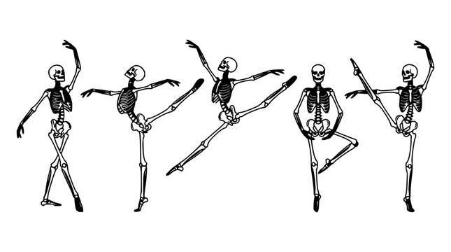 Skeletal ballet dancers set with transparent background featuring bone anatomy, graceful poses, and artistic skeleton illustrations with dynamic movement and black and white design