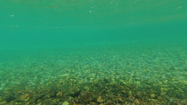 水中カメラで撮影した夏の観光名所上高地の梓川の水中景色
