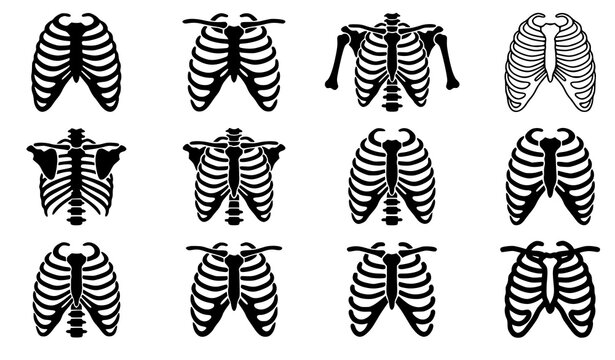 Human Rib Cage Silhouette Vector Collection with Anatomical Thoracic Skeleton Medical Bone Structure Illustration Icons
