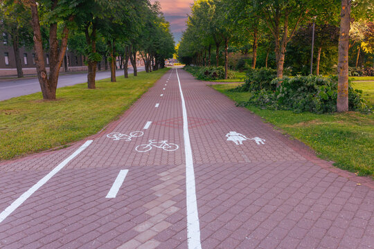 Tree lined shared path with bicycle and pedestrian symbols