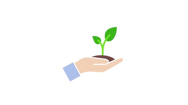 Minimalist vector animation of a hand holding soil with a sprouting green sapling. A symbol for sustainable growth and ecology on a white background
