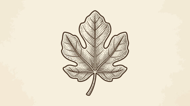 Antique Fig Leaf Engraved Vector Illustration