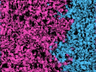 Obraz premium Vibrant pink and cyan textures meet in bold, organic transition. Deep black spaces add contrast to vivid color fields. Pattern appears grainy, like microscopic or abstract surface