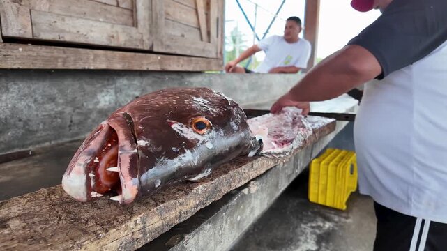 Close-up of a fisherman expertly processing freshly caught snapper at a traditional Caribbean fish processing station in a sustainable fishing community.