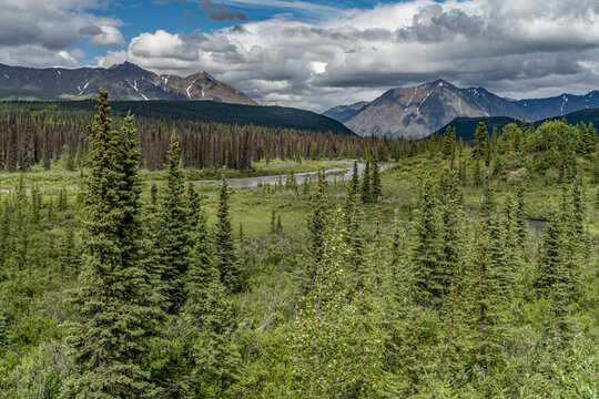 Alaska mountains, glacier, forest, view of Homer spit