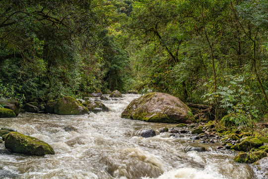 Rushing mountain stream flowing through a lush green tropical forest with wilderness, tropical