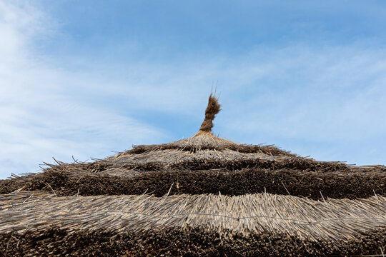 Rustic Thatched Beach Umbrella Against a Blue Summer Sky