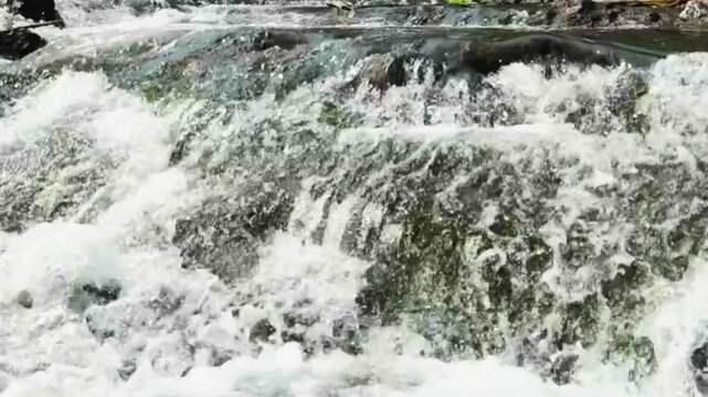 Slow motion backward tracking shot of water flowing rapidly over mossy rocks in a river.