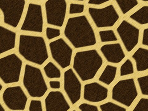 giraffe skin texture