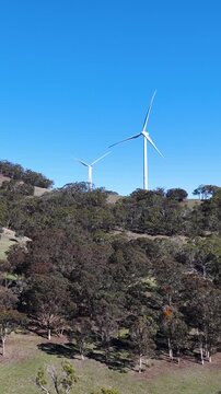 Wind Turbines Rotating on a Forested Hillside Under Clear Blue Sky