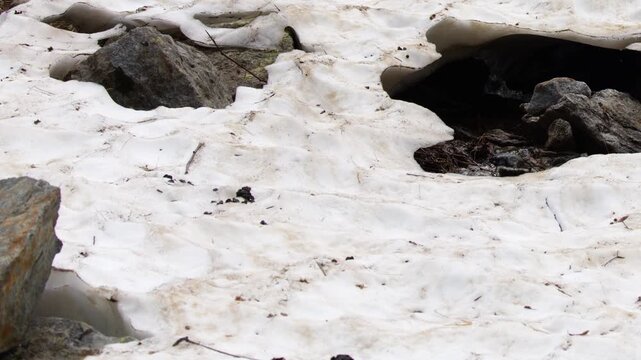 Melting Snow and Ice Over Rocks in Lago della Rovina