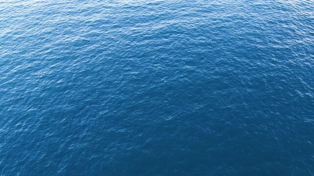 Aerial View of Seagull Flying Over Deep Blue Pacific Ocean
