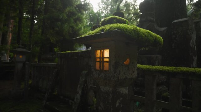Stone Lanterns (Joyato) Along the Approach to Okunoin, Koyasan, Wakayama, Japan　高野山「奥之院の常夜燈」和歌山県高野町