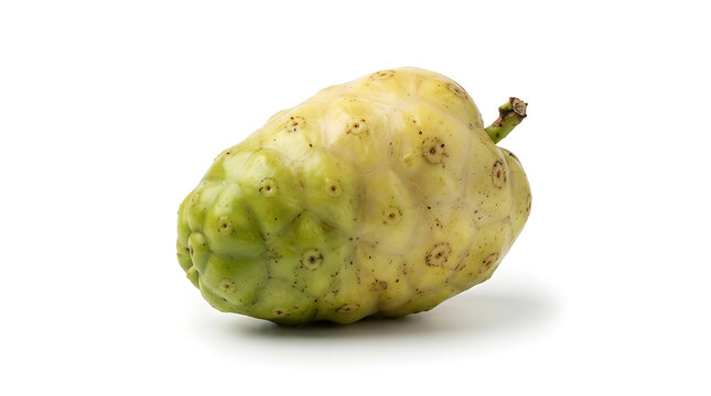 Fresh noni fruit isolated on white background, organic morinda citrifolia fruit known as cheese fruit or Indian mulberry