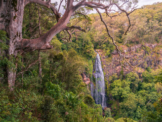 Waterfall in the Rainforest © Kevin