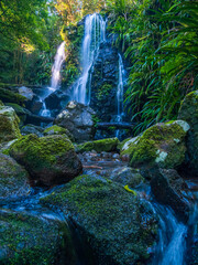 Waterfall in the Forest Vertical Orientation © Kevin